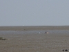 dsc03527