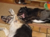 dsc02434 dsc02434
