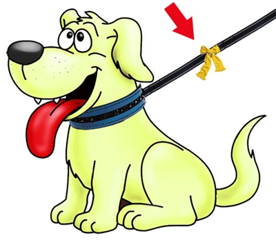 gulhund_kl.jpg