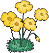 blume24.gif