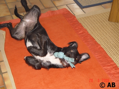 DSC01292.JPG