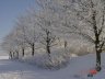 DSC00819_w.JPG