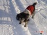 DSC00822_w.JPG