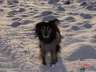 DSC00827_w.JPG