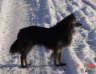 DSC00844_w.JPG