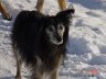 DSC00847_w.JPG