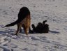 DSC00848_w.JPG