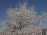 DSC00856_w.JPG