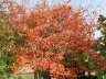 herbst07_blog.jpg