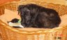 DSC00913.JPG