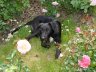 DSC01377.JPG