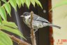 DSC01389.JPG