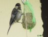 DSC01391.JPG
