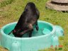 DSC01445.JPG
