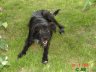 DSC01447.JPG