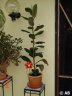 DSC01495.JPG