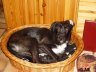 DSC01511.JPG