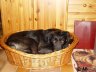 DSC01515.JPG