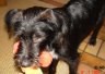 DSC01530.JPG