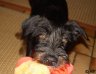 DSC01531.JPG
