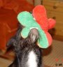 DSC01535.JPG