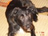 DSC01565.JPG