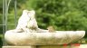 DSC01724.JPG