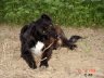 DSC01985.JPG