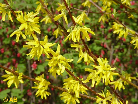 DSC02327.JPG