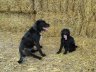 DSC00041.JPG