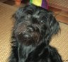 DSC00069.JPG