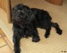 DSC00073.JPG