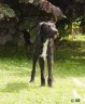 DSC01375.JPG