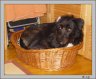 DSC02068.JPG