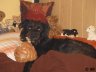 DSC02156.JPG
