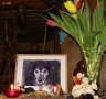 DSC02242.JPG