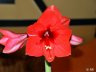 DSC02304.JPG