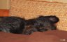DSC02323.JPG