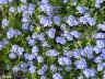 DSC02391.JPG