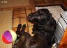 DSC02480.JPG