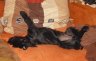 DSC02578.JPG