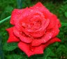 DSC02627.JPG