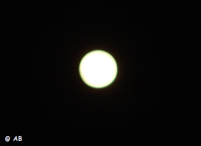 DSC03265.JPG