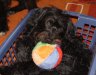 DSC03166.JPG