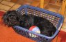 DSC03170.JPG