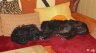 DSC03208.JPG