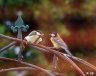 DSC03518.JPG