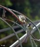 DSC03520.JPG