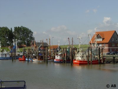 DSC03633_1.JPG