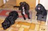 DSC03727.JPG